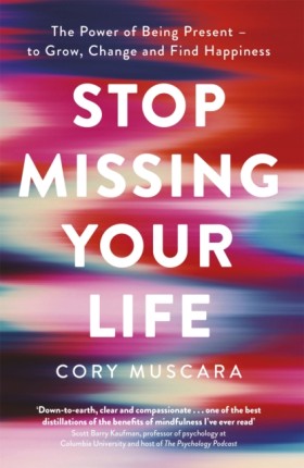 Stop Missi …