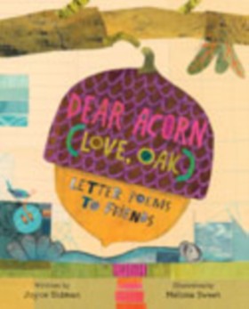 Dear Acorn …