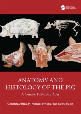Anatomy an …