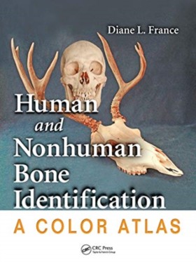 Human and &hellip;
