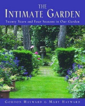 The Intima …