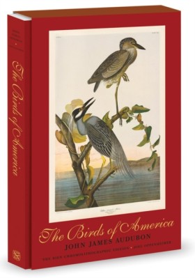 The Birds …