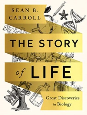 The Story &hellip;