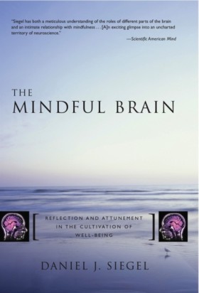 The Mindfu &hellip;