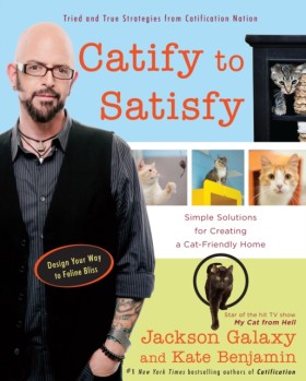Catify to &hellip;