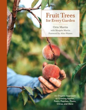 Fruit Tree …