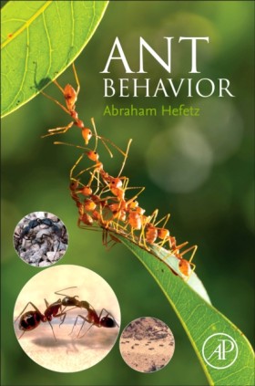 Ant Behavi &hellip;