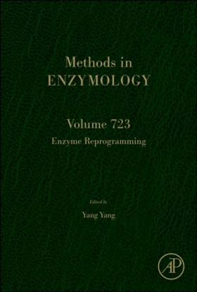 Enzyme Rep …