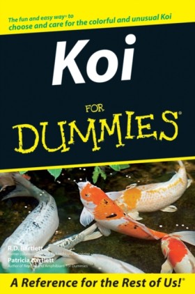 Koi For Du &hellip;