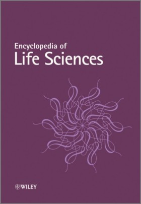 Encycloped &hellip;