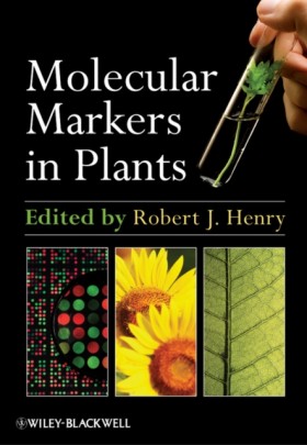 Molecular …