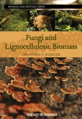 Fungi and …