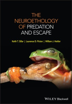 The Neuroe …