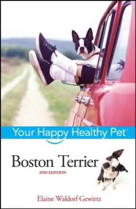 Boston Ter &hellip;