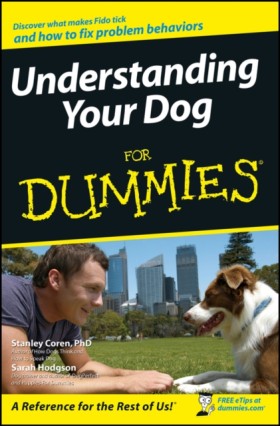 Understand &hellip;