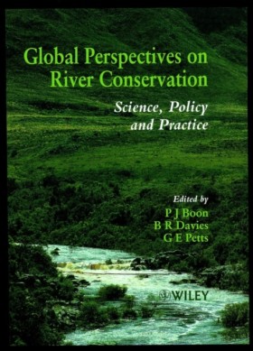 Global Per &hellip;