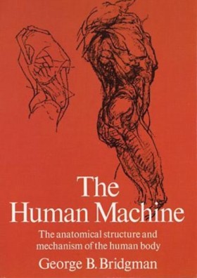 The Human …