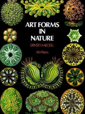 Art Forms &hellip;