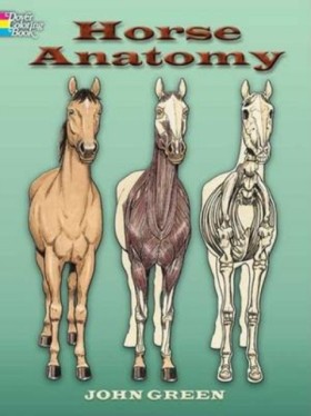 Horse Anat …