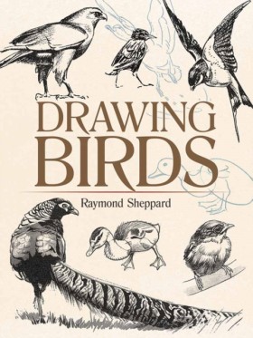 Drawing Bi &hellip;