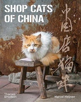 Shop Cats …