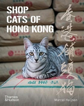 Shop Cats &hellip;