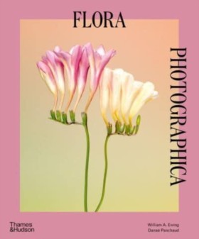 Flora Phot &hellip;