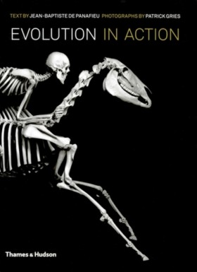 Evolution …