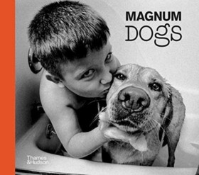 Magnum Dog …