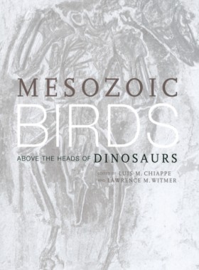 Mesozoic B …