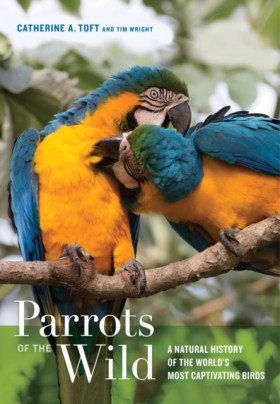 Parrots of …