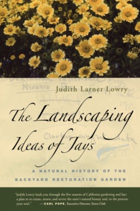 The Landsc &hellip;