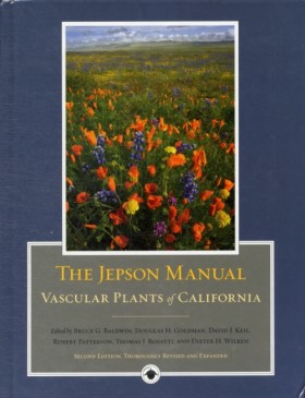 The Jepson …