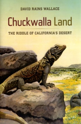 Chuckwalla &hellip;