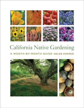 California …