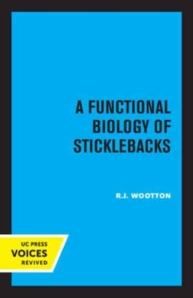 A Function &hellip;
