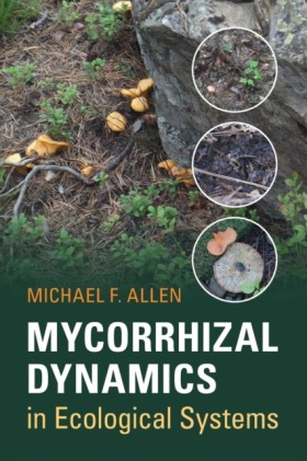Mycorrhiza …