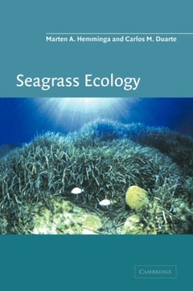 Seagrass E …
