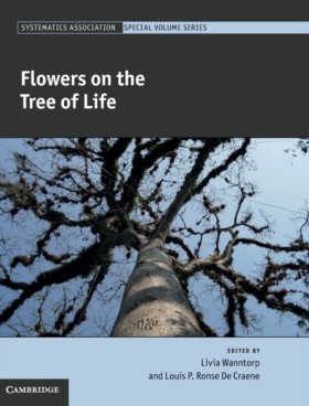Flowers on &hellip;
