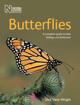 Butterflie …