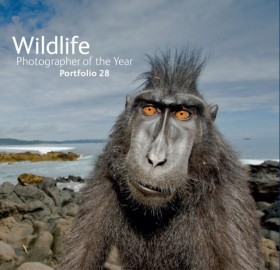 Wildlife P …