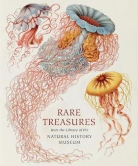 Rare Treas &hellip;