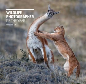 Wildlife P …