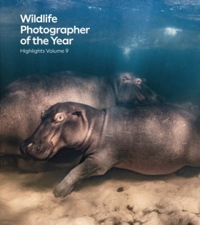 Wildlife P …