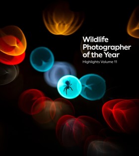 Wildlife P &hellip;