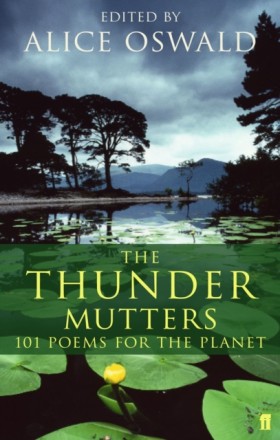 The Thunde &hellip;