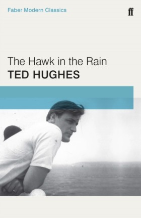 The Hawk i &hellip;
