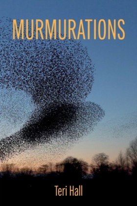 Murmuratio …