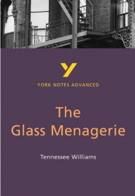 The Glass &hellip;
