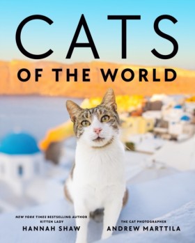 Cats of th …
